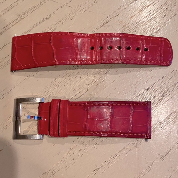 Michele Alligator Band